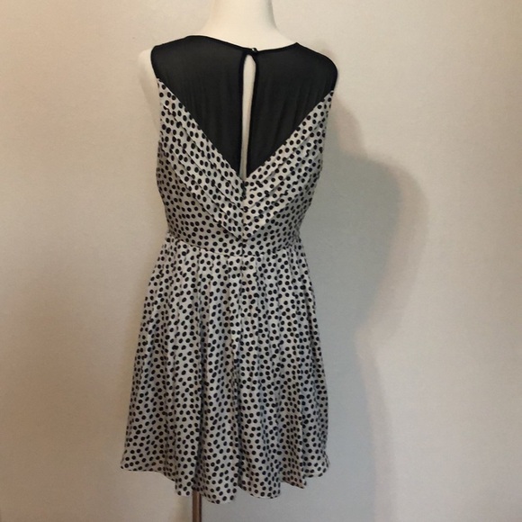 BCBGENERATION Black & Cream Polka Dot Polyester Mini Dress Size 6 Feminine - Picture 5 of 11